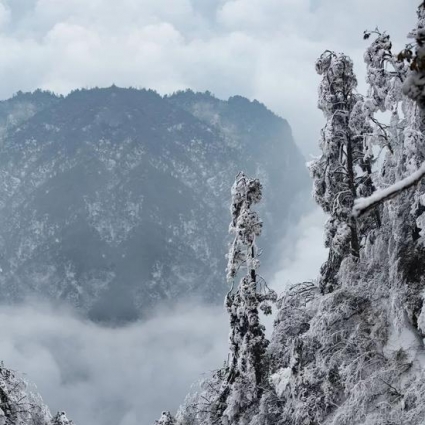 你见过雪后的峨眉山吗？简直像人间仙境