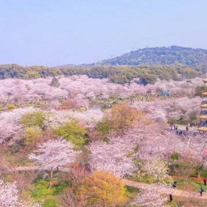 120万人冲上热搜后 才发现我们对武