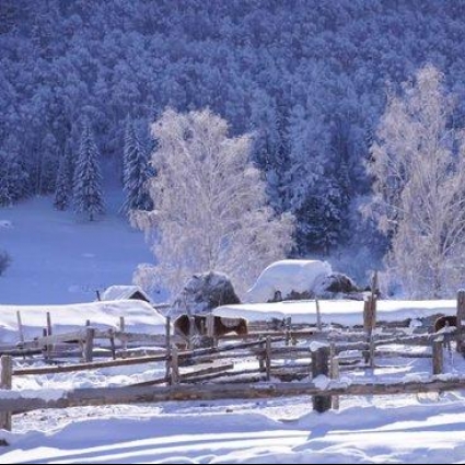 <b>被遗忘的“国内雪国” 一到冬天就</b>