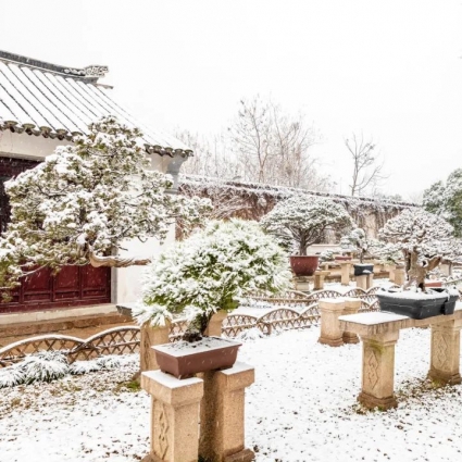 一下雪 苏州就成了姑苏