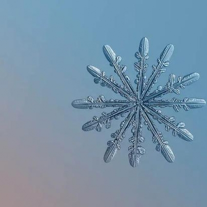 外国小哥花九年时间 只为拍一朵雪花