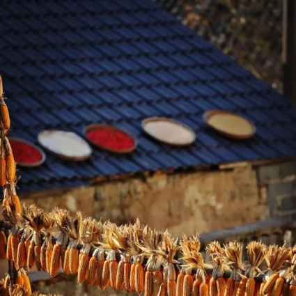 杭州的最美秋色 藏了大半在富阳