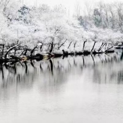 雪中的江南古韵与古画中的雪景 美得可以屏住呼吸