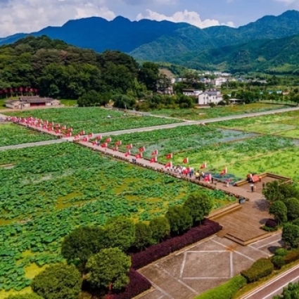 比日本大5倍的万亩樱花 就在国内美哭全球